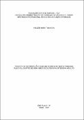 Imagem de Miniatura