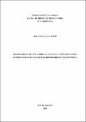 Imagem de Miniatura
