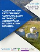 Imagem de Miniatura